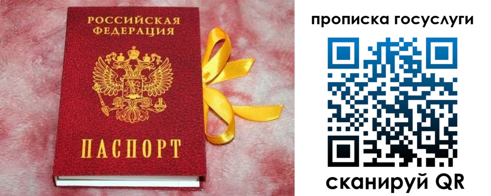 прописка законно в Курчатове